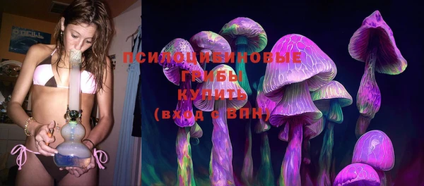 прущие крисы Балахна